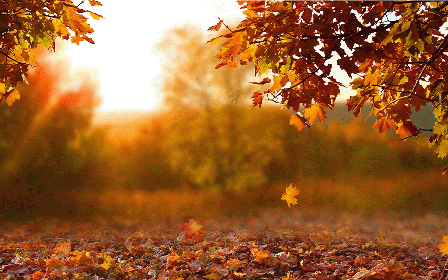 Herbstanfang